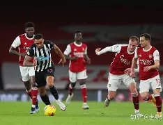 纽卡斯尔联主场击败谢菲联，保级前景一片光明的简单介绍