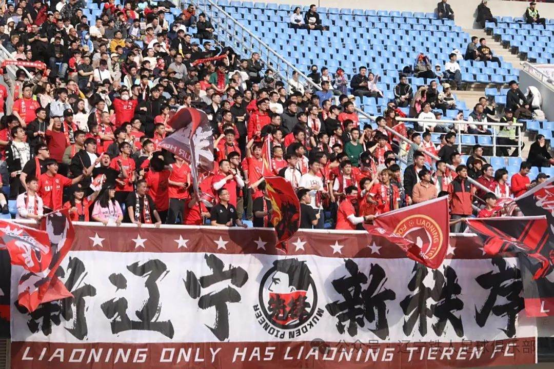 河北铁人队主场告捷，主帅战术发挥关键作用的简单介绍